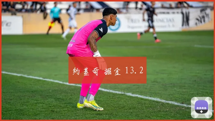 约基奇 掘金 13.2