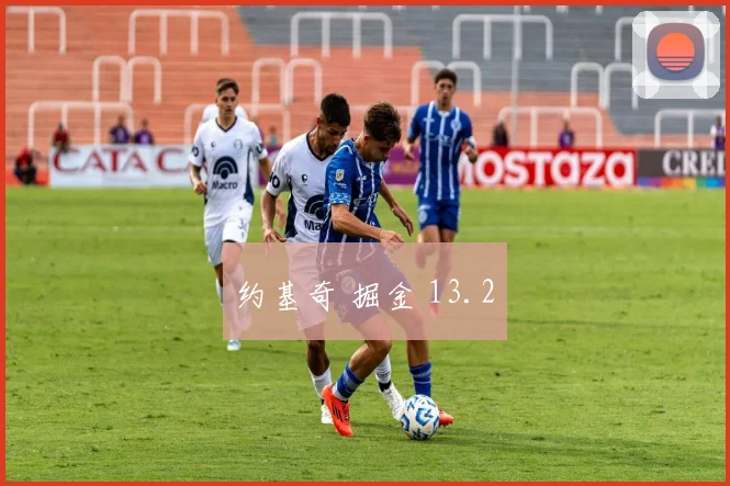 约基奇 掘金 13.2