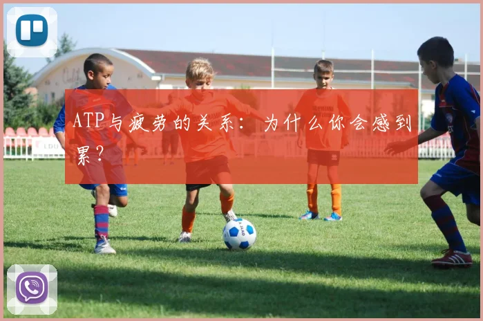 ATP与疲劳的关系：为什么你会感到累？