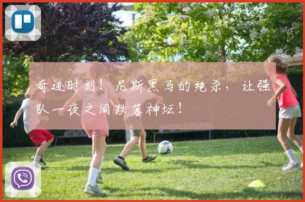 奇迹时刻!尼斯黑马的绝杀,让强队一夜之间跌落神坛!