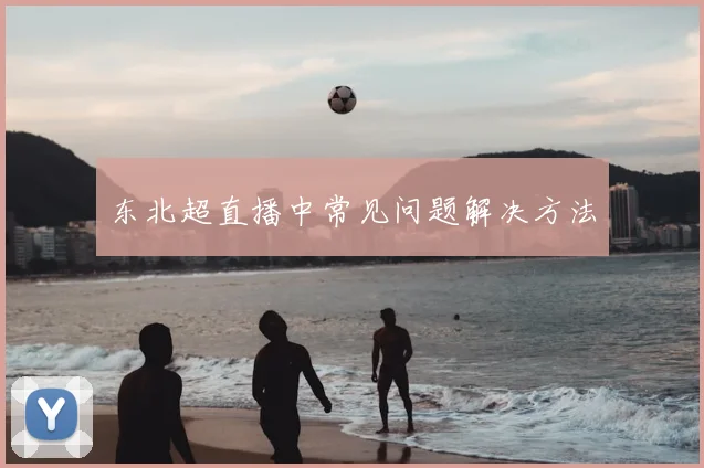 东北超直播中常见问题解决方法