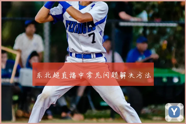 东北超直播中常见问题解决方法